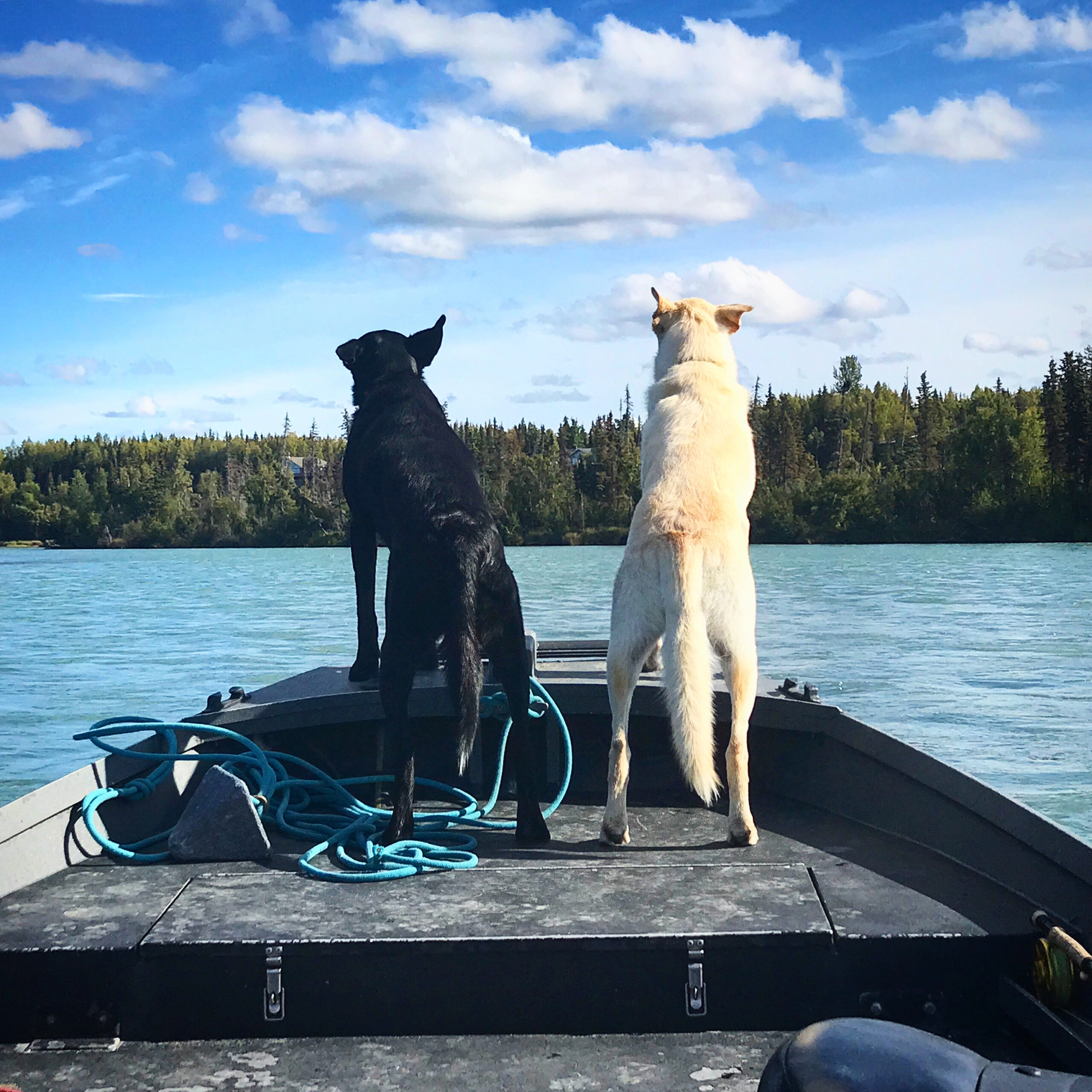 Kenai fishing guide trip photo 16