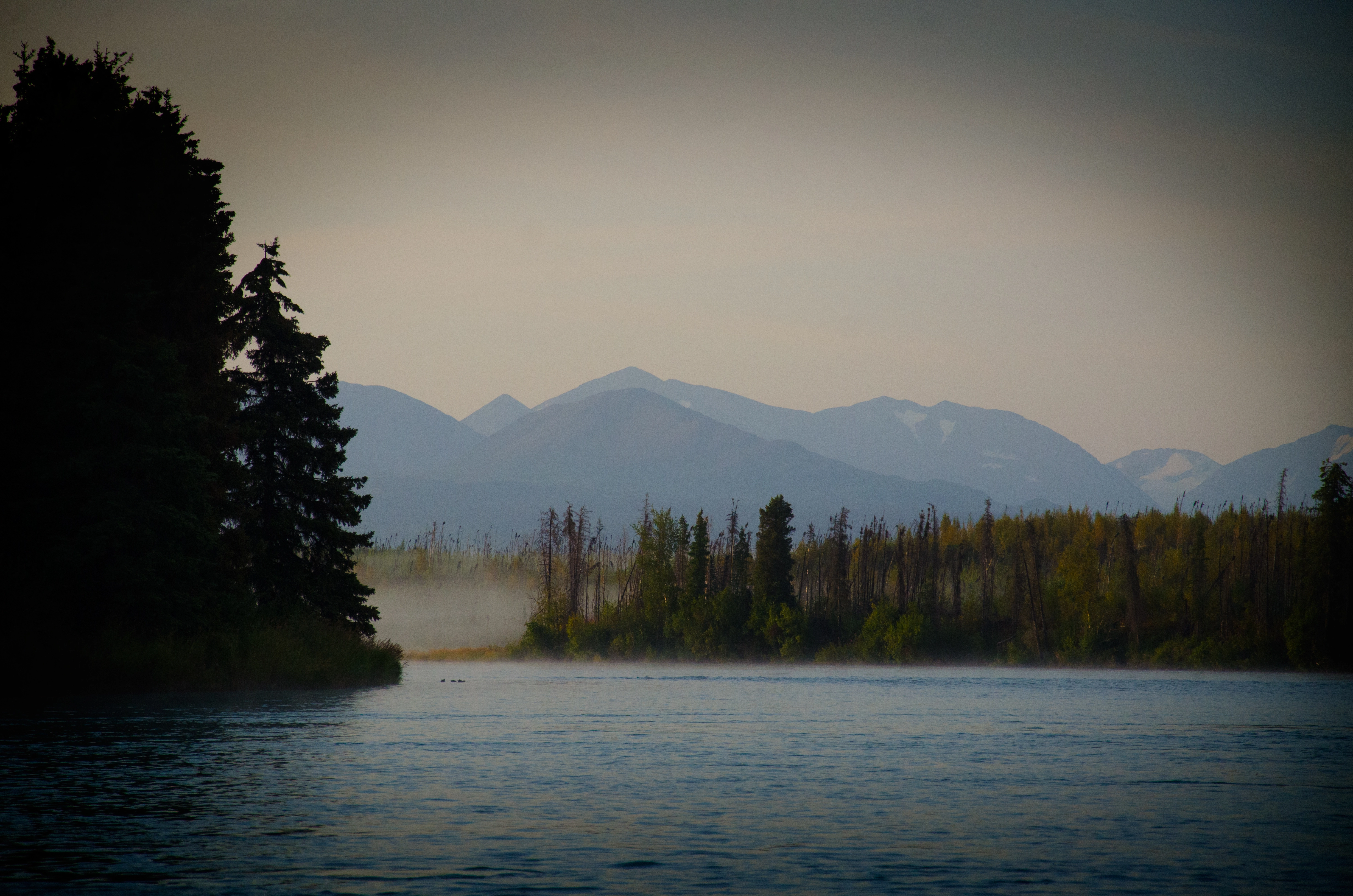 Kenai fishing guide trip photo 7
