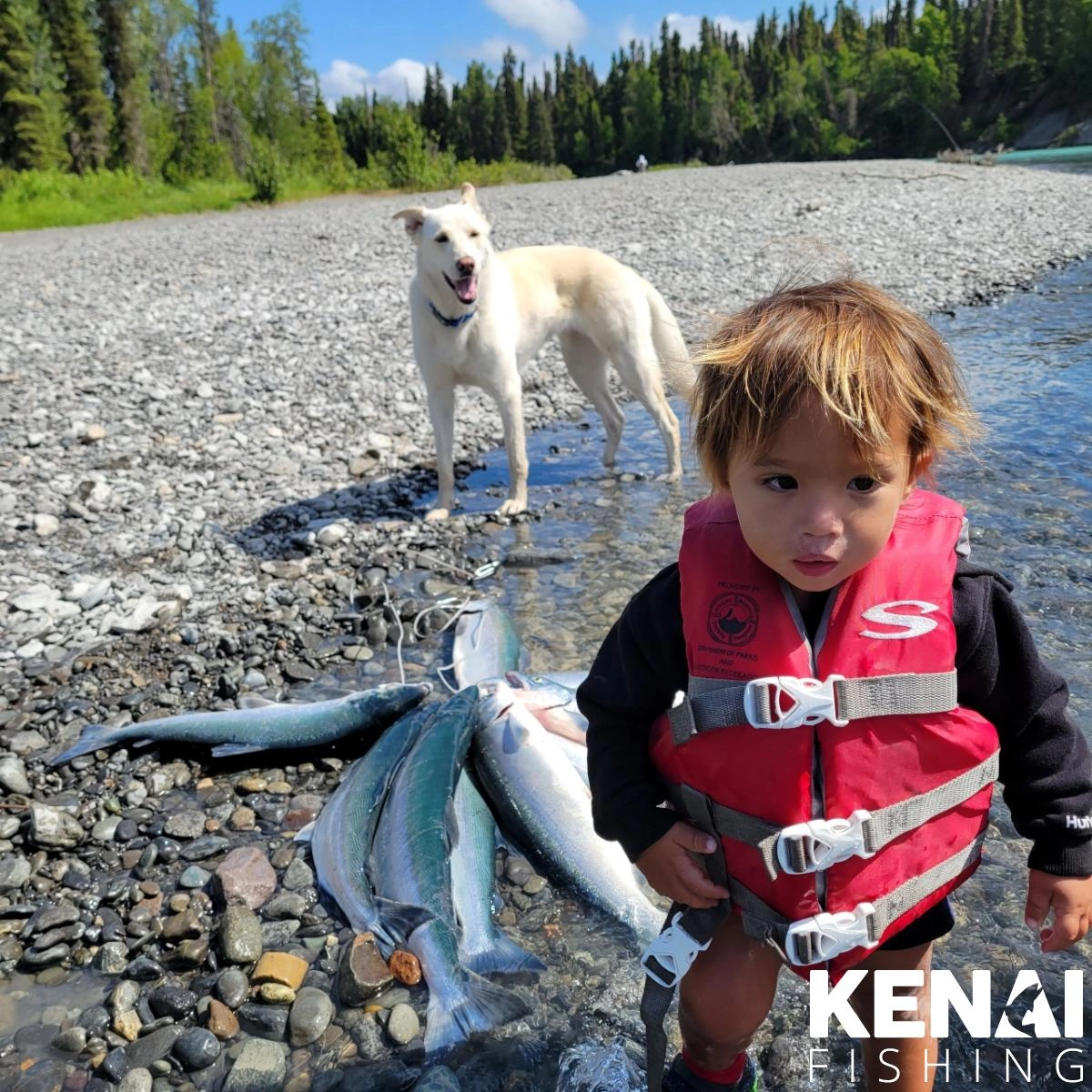Kenai fishing guide trip photo 9