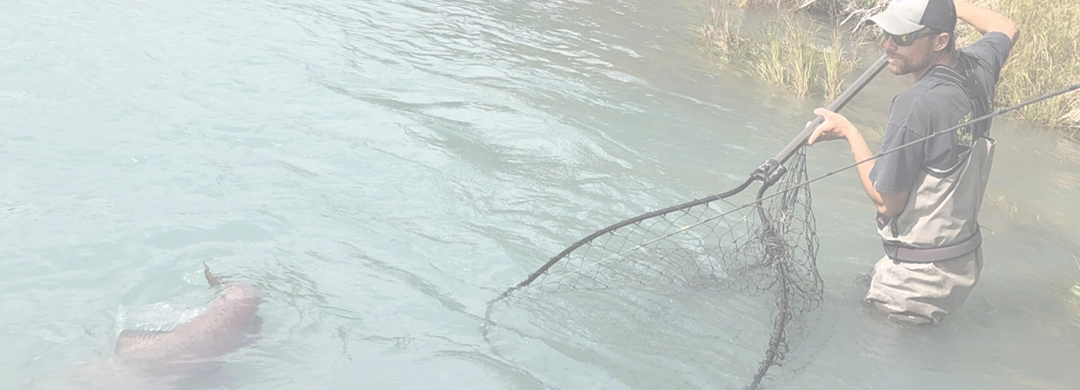 Kenai fishing guide trip photo 8