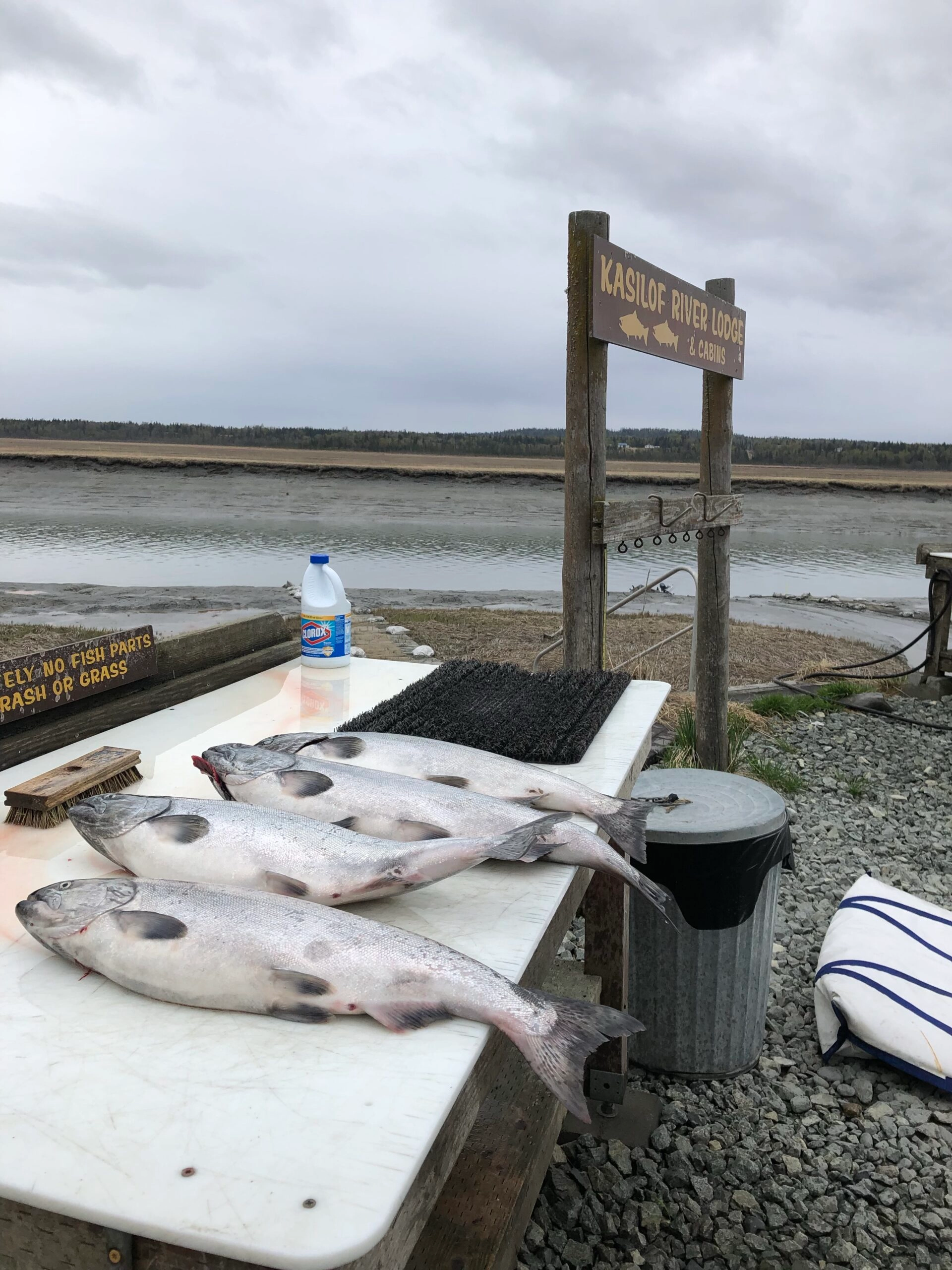Kenai fishing guide trip photo 20
