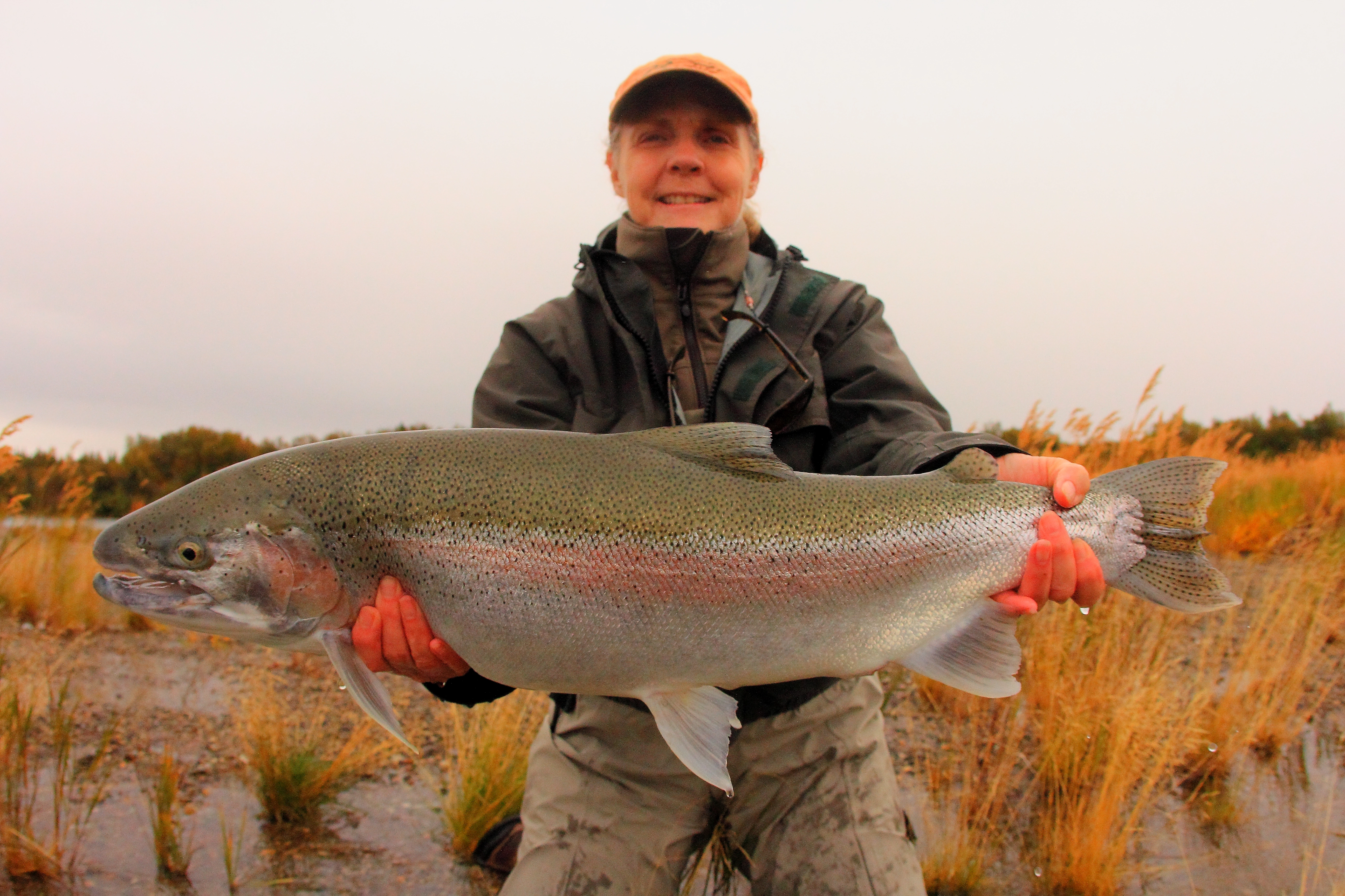 King Salmon