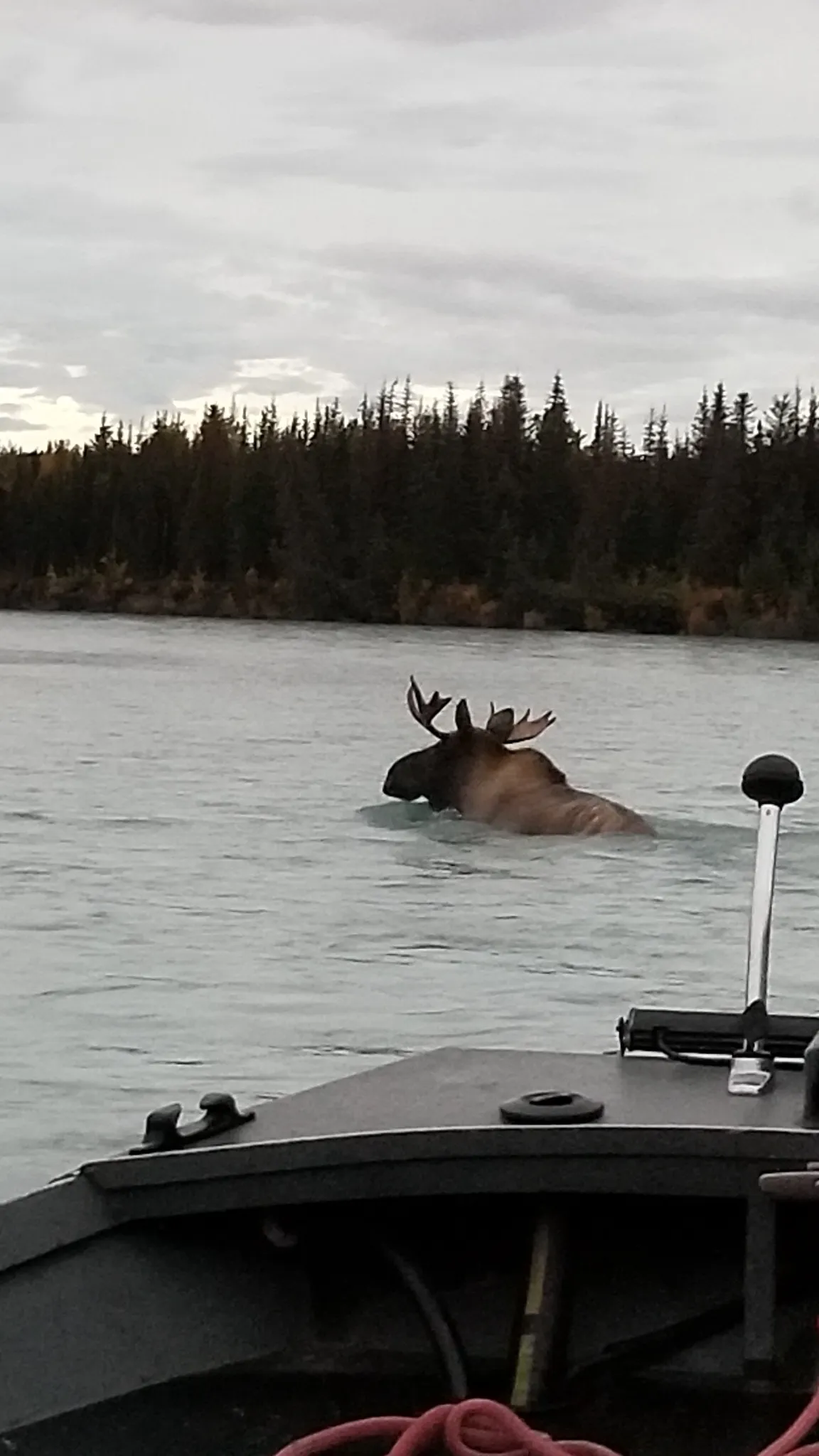 Kenai fishing guide trip photo 23