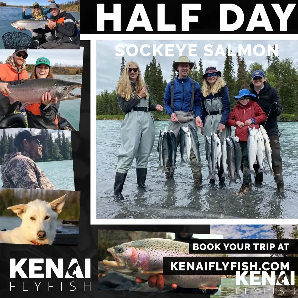 Half day Kenai salmon fishing trip