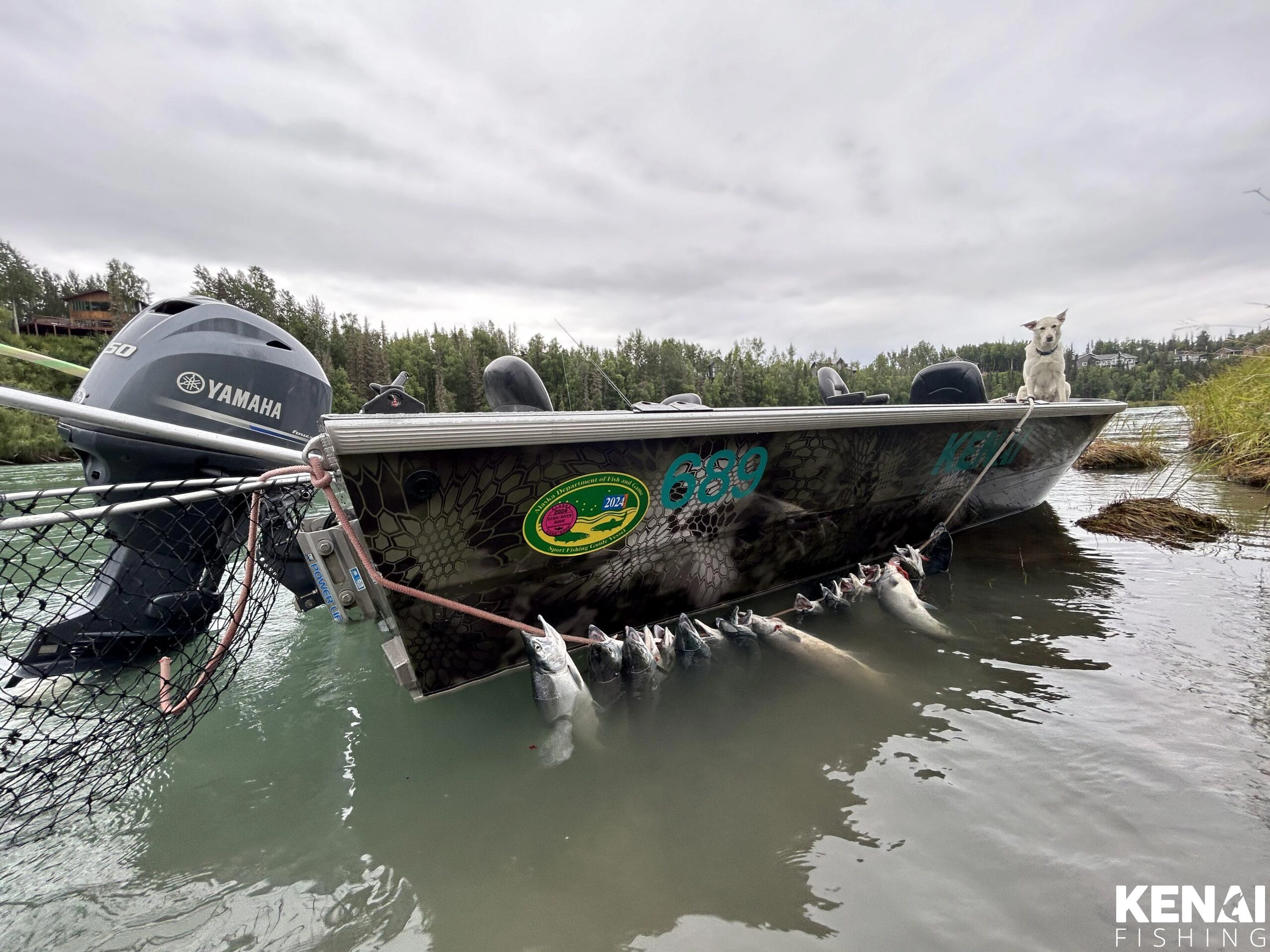 Alaska Salmon Fishing