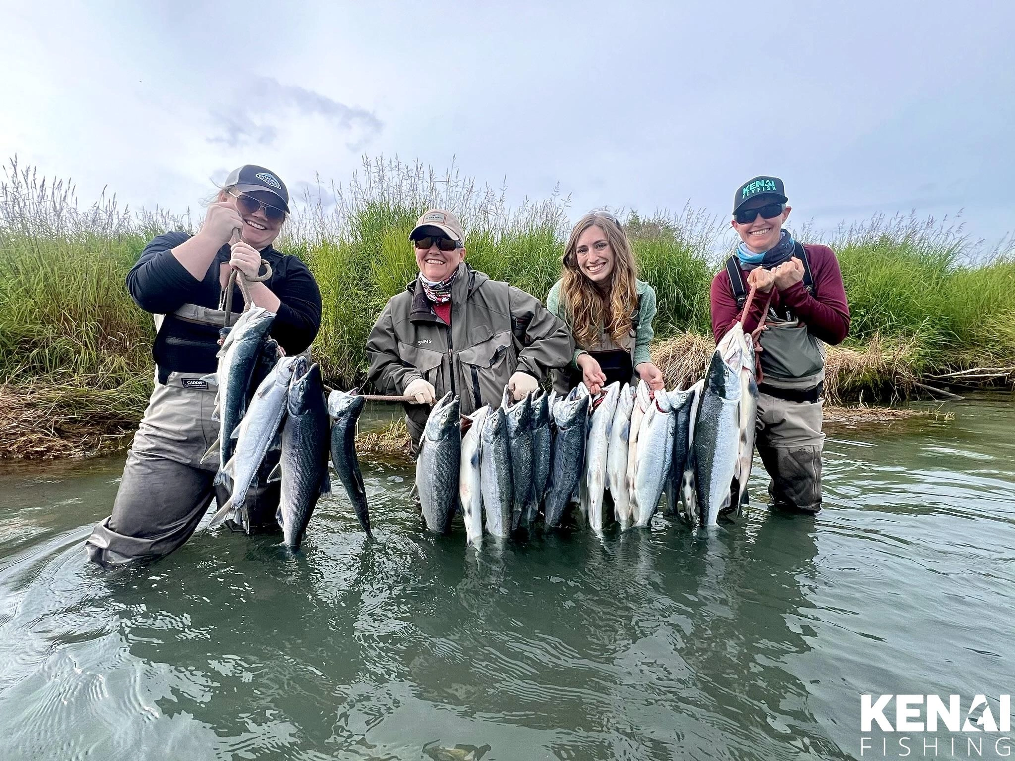Sockeye Salmon