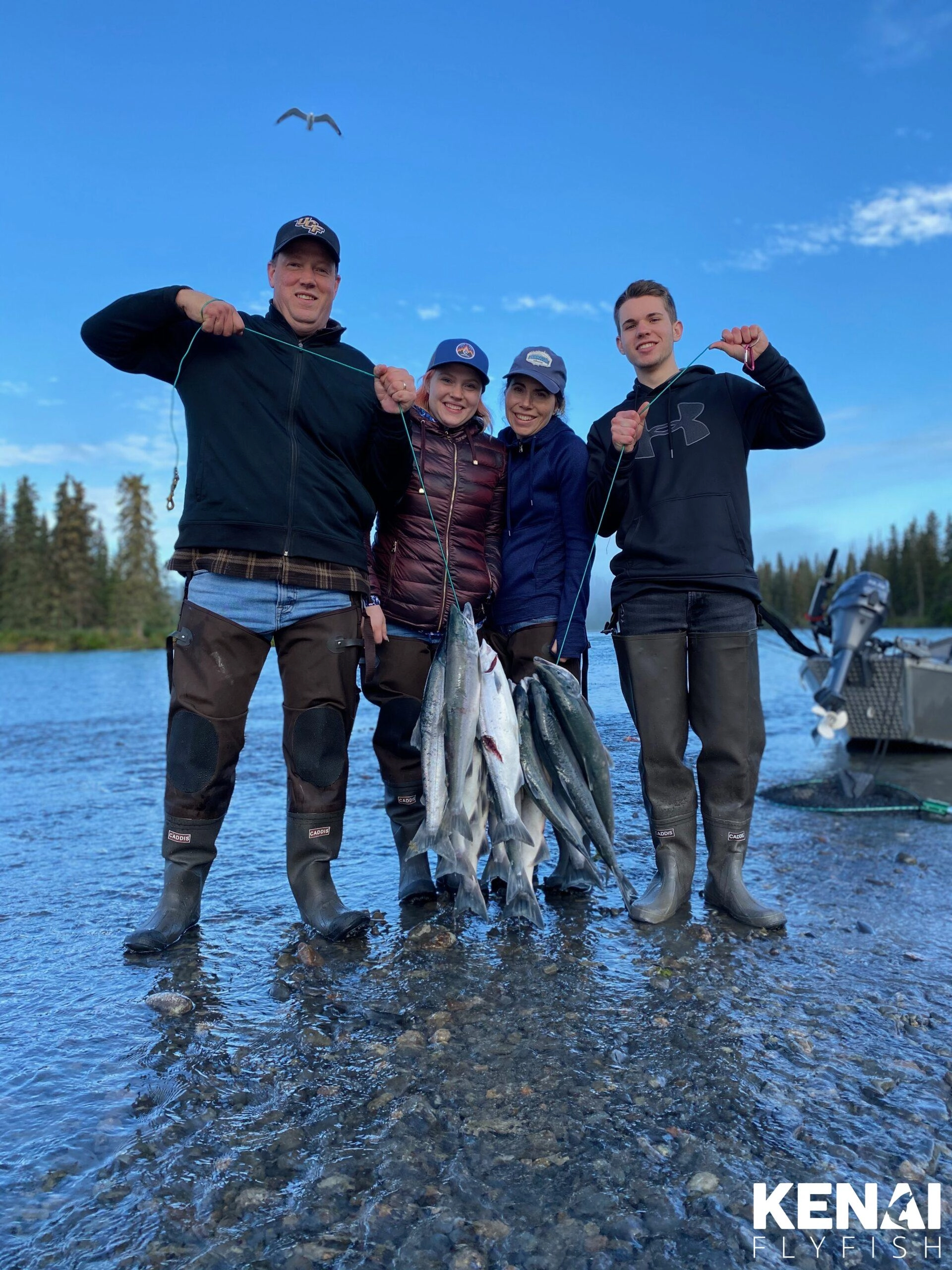 Sockeye Salmon