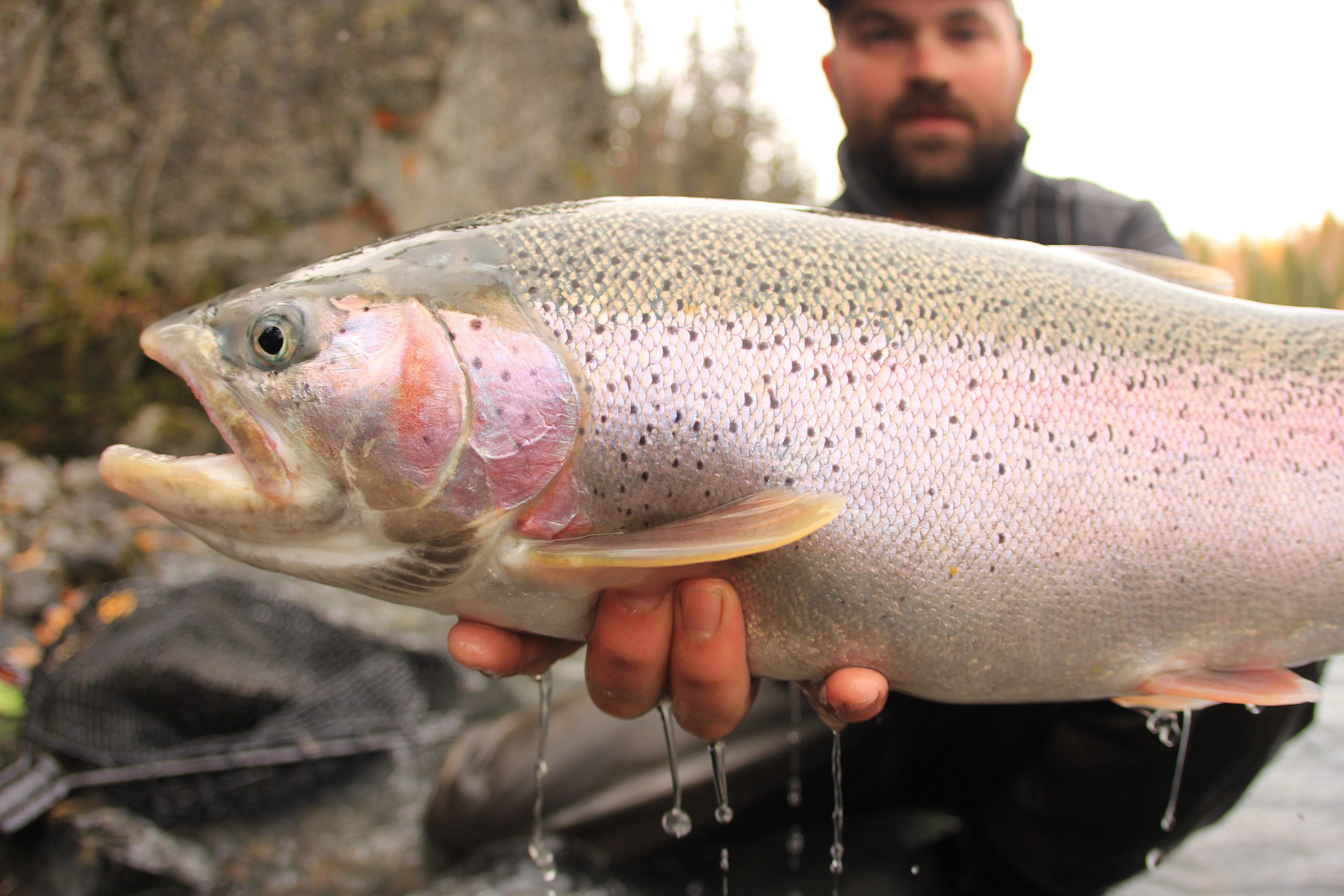 Coho Salmon Fishing